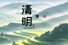 关于我司2025年清明节放假通知！